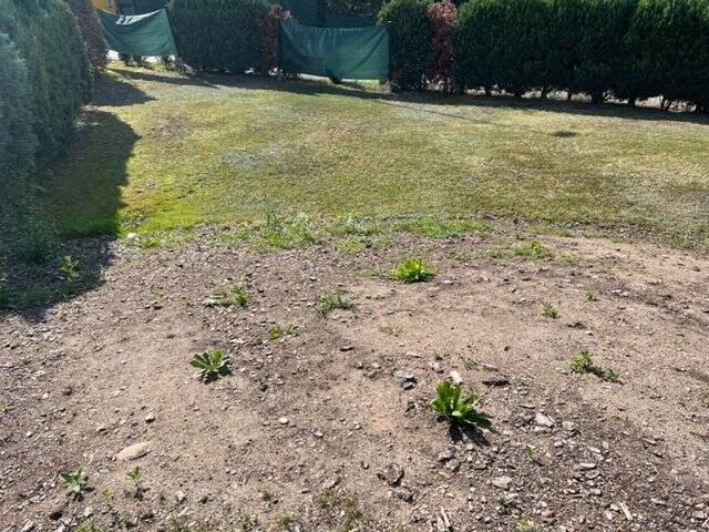 Grundstück Freital - 95.000&euro; | Angebot:19308560