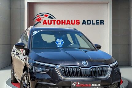 Skoda Kamiq 98.900 km 17.990 &euro; Worms 67549