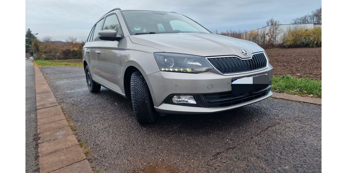 Skoda Fabia 98.300 km 11.750 &euro; Kranichfeld 99448