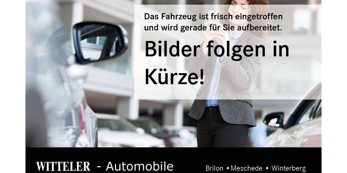 Skoda Octavia 2.500 km 39.290 &euro; Brilon 59929