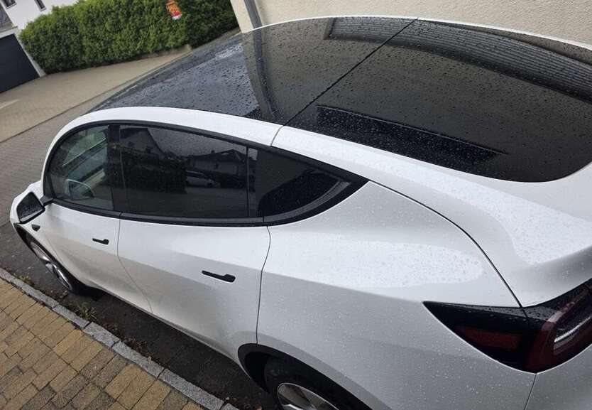 Model Y