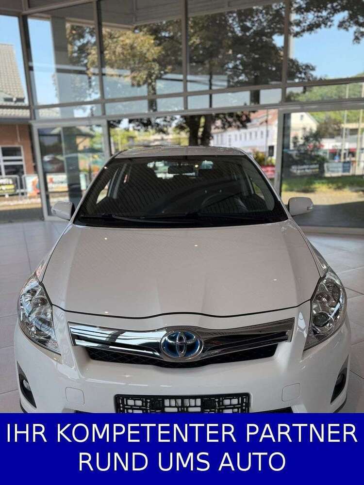 Auris