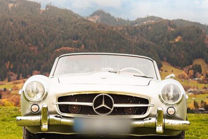 Mercedes-Benz 190 41.920 km 105.000 &euro; Pfronten 87459