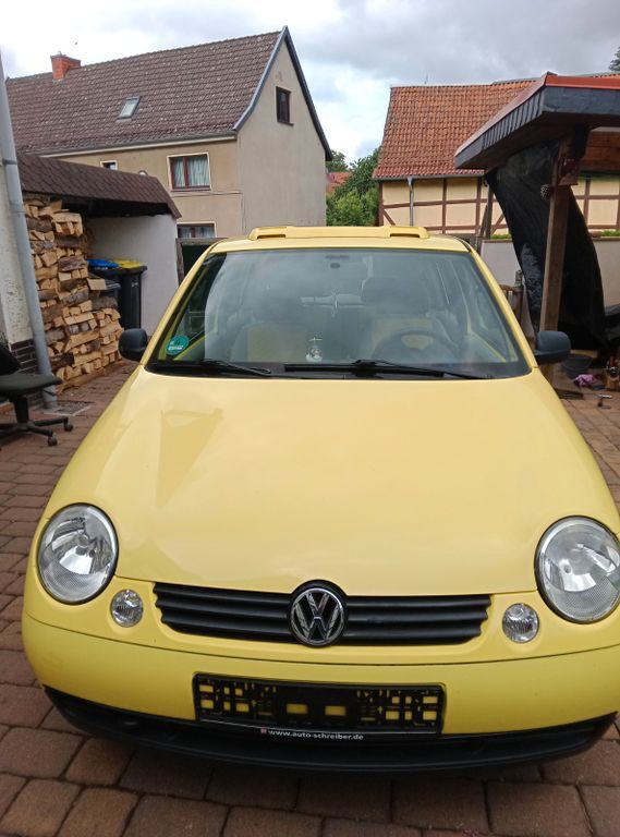 Lupo