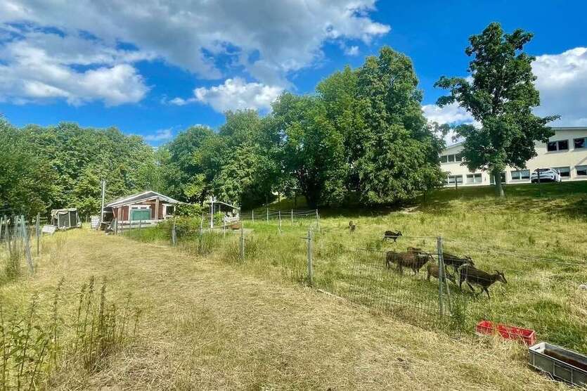 Grundstück in Chemnitz 97.000 € 2644 m²