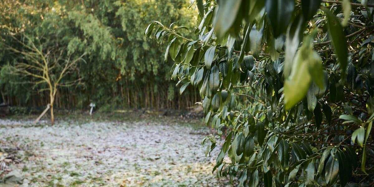 Bungalow Schwanewede - 6 Zimmer, 151 m&sup2;, 289.000&euro; | Angebot:25250815