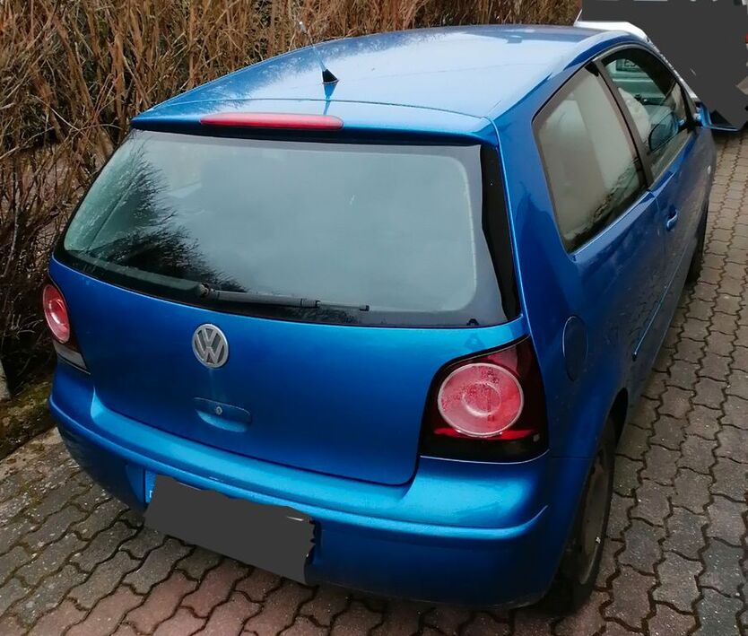 Polo