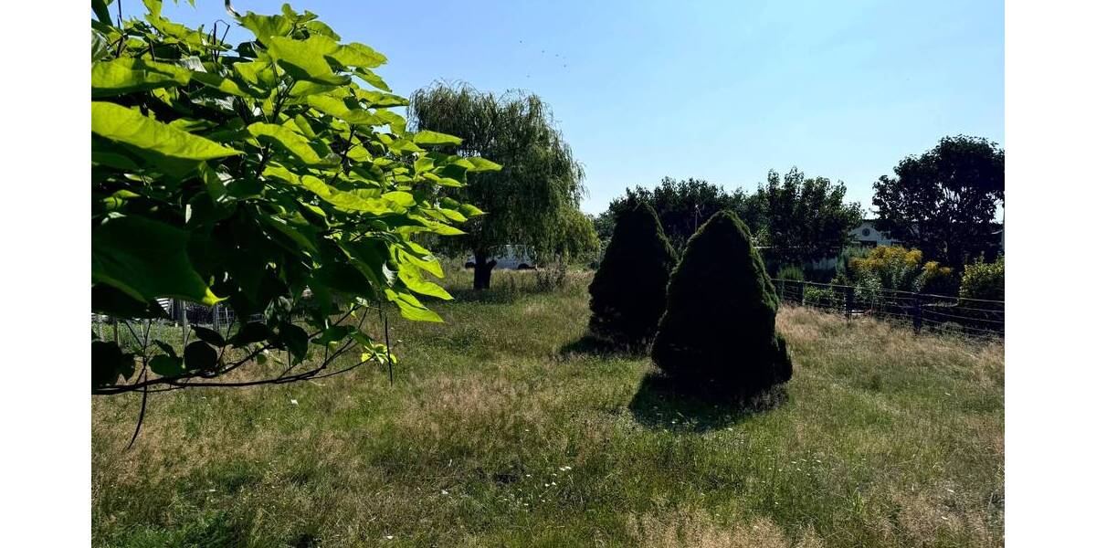 Grundstück Werben (Elbe) Behrendorf - 20.000&euro; | Angebot:25666227