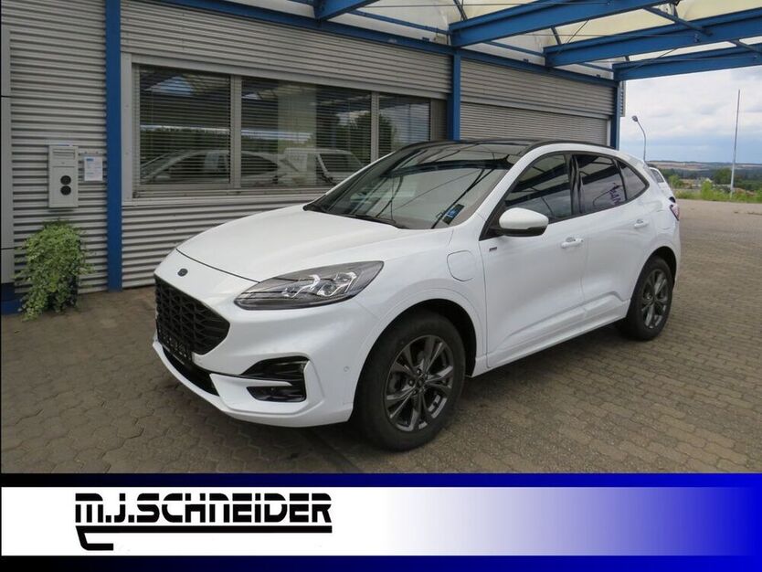 Kuga