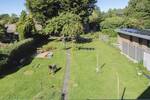Einfamilienhaus Flensburg Engelsby - 8 Zimmer, 150 m&sup2;, 559.000&euro; | Angebot:26359415