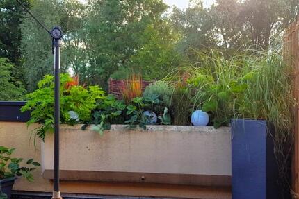 Einzimmerwohnung mit traumhafter Dachterrasse + Tiefgaragenplatz 1 zimmer