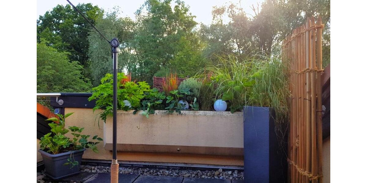 Einzimmerwohnung mit traumhafter Dachterrasse + Tiefgaragenplatz 1 zimmer