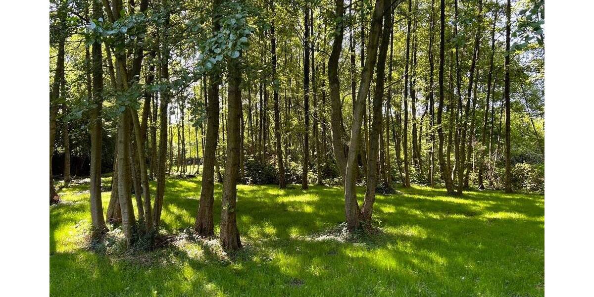 Grundstück Bremerhaven Langen - 1.400.000&euro; | Angebot:19364394