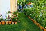 Etagenwohnung Bad Rappenau Bad Rappenau - 4 Zimmer, 123 m&sup2;, 1.450&euro; | Angebot:26805709