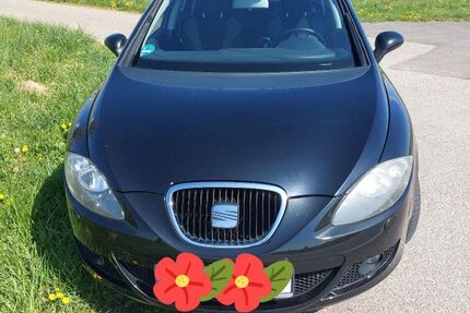 Seat Leon 222.000 km 1.111 &euro; Landau 76829