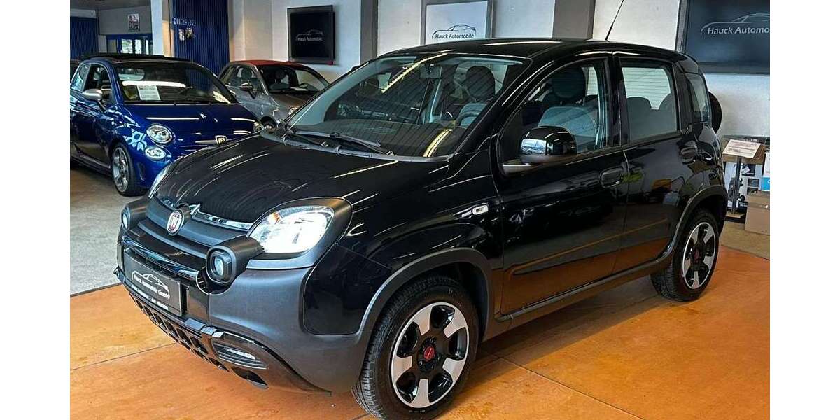Fiat Panda 38.121 km 11.890 &euro; Bad Duerkheim 67098