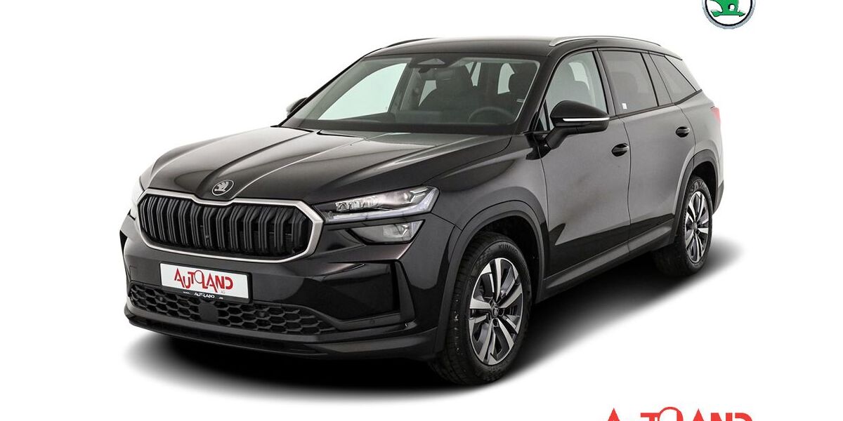 Skoda Kodiaq 18.600 km 41.990 &euro; Dresden 01239