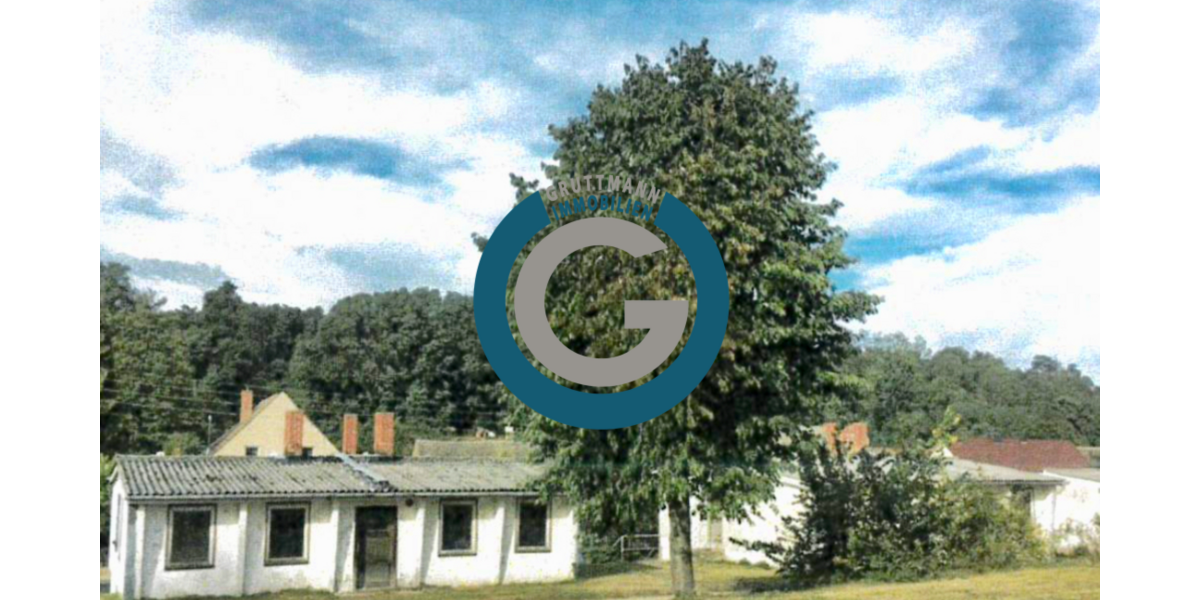 Einfamilienhaus Neuhardenberg - 20 Zimmer, 465 m&sup2;, 490.000&euro; | Angebot:25620569