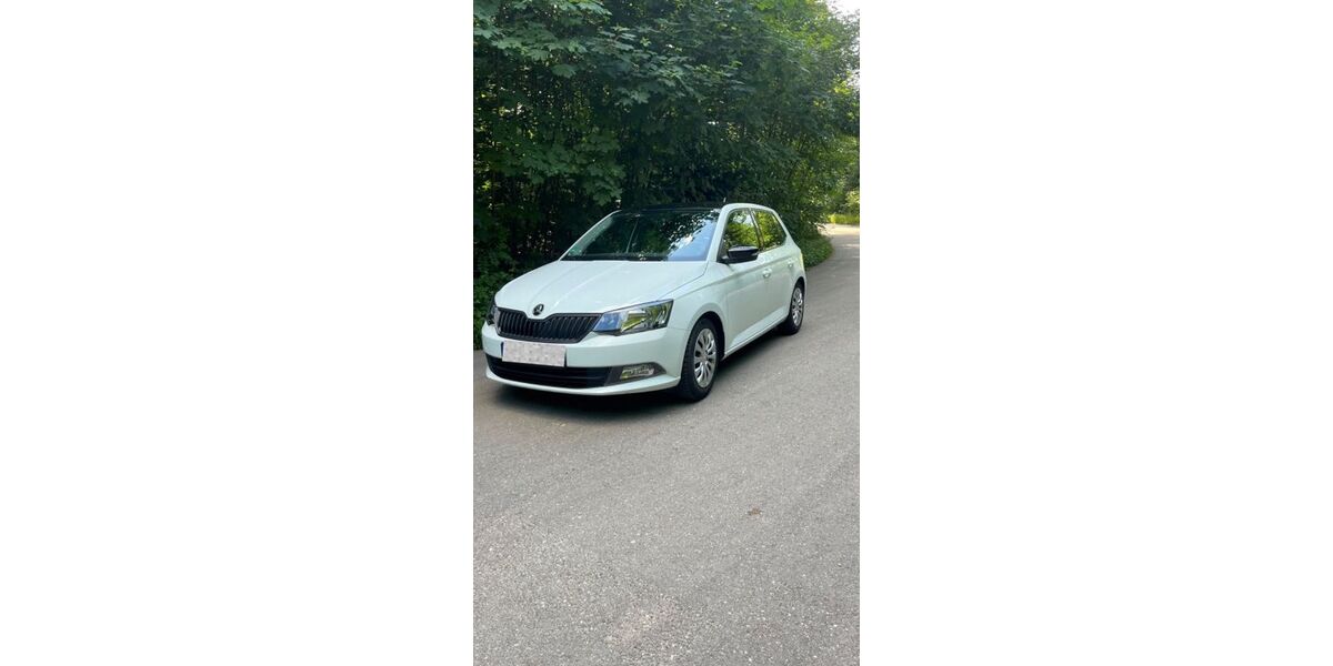 Skoda Fabia 92.000 km 9.000 &euro; Altbach 73776