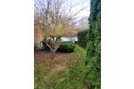 3,5 Zimmer, Garage, Garten in 06618 Löbitz