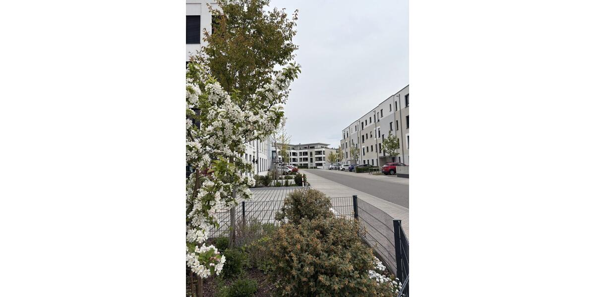 Etagenwohnung Speyer - 3 Zimmer, 103 m&sup2;, 499.000&euro; | Angebot:27263967