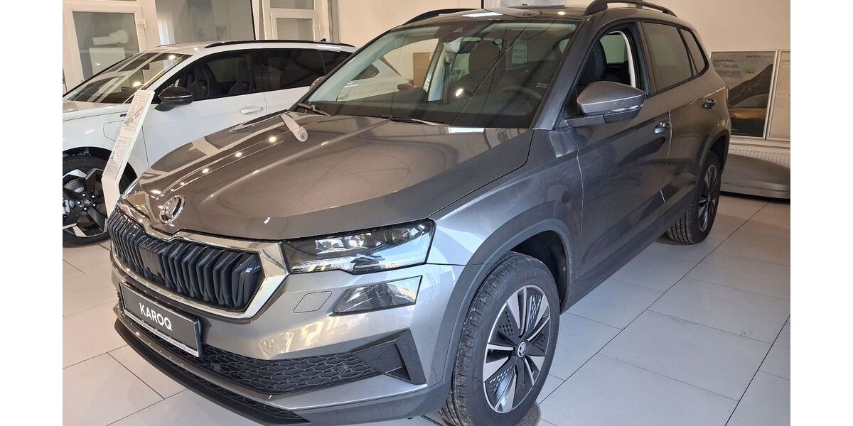 Skoda Karoq 1.500 km 37.990 &euro; Eisenhüttenstadt 15890