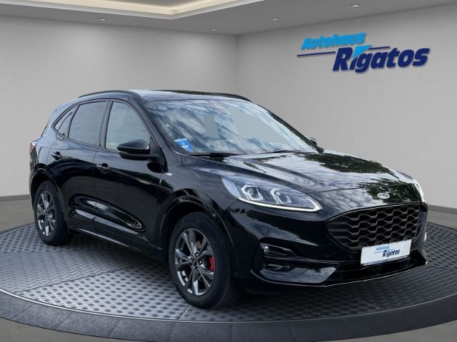 Kuga