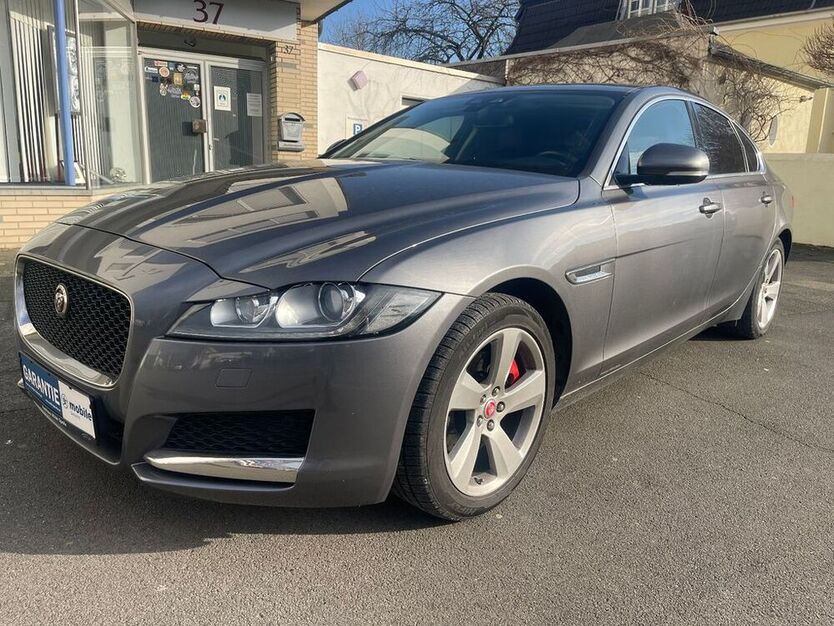 XF