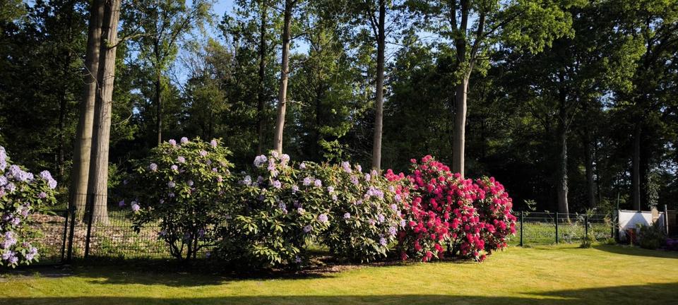 Einfamilienhaus Visselhövede - 4 Zimmer, 119 m&sup2;, 135.000&euro; | Angebot:27120160