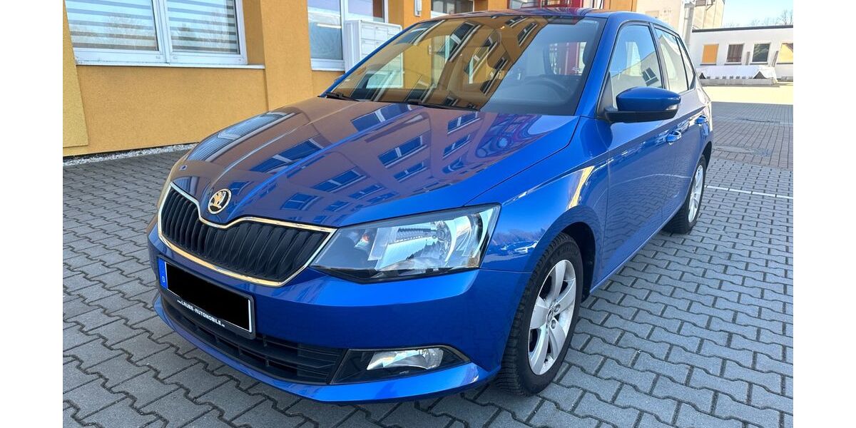 Skoda Fabia 61.300 km 10.290 &euro; Zwickau 08064