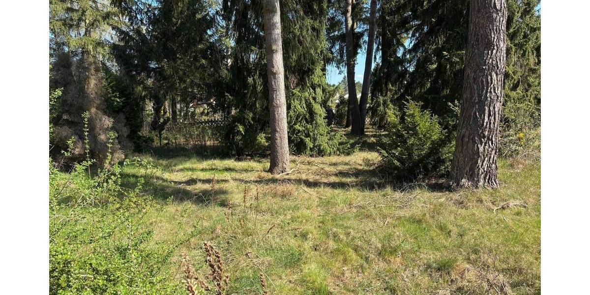 Grundstück Petershagen/Eggersdorf Süd - 250.000&euro; | Angebot:25699568