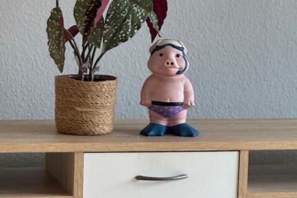 3 Zimmerwohnung zimmer