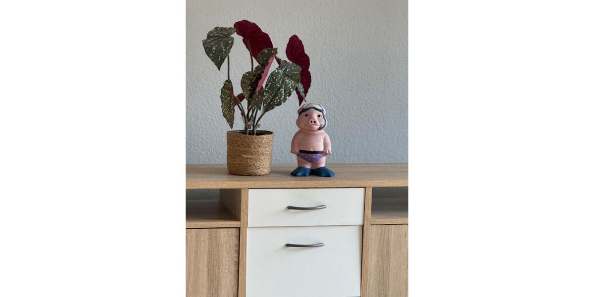 3 Zimmerwohnung zimmer