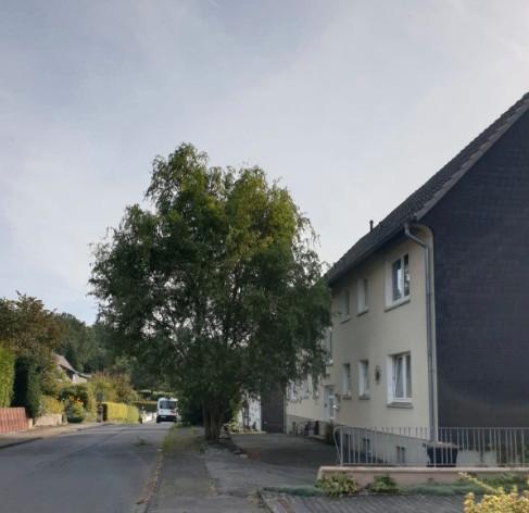 Etagenwohnung Nümbrecht - 3 Zimmer, 67 m&sup2;, 400&euro; | Angebot:25947642