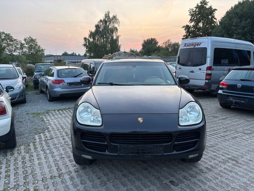 Cayenne