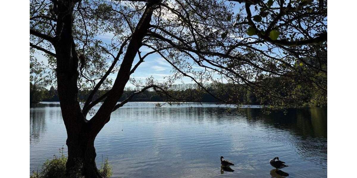 Grundstück Osnabrück Eversburg - 250.000&euro; | Angebot:25386912