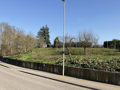 BAUPLATZ FÜR EIN MEHRFAMILIENHAUS - Grundstück Walzbachtal | Angebot:25842867