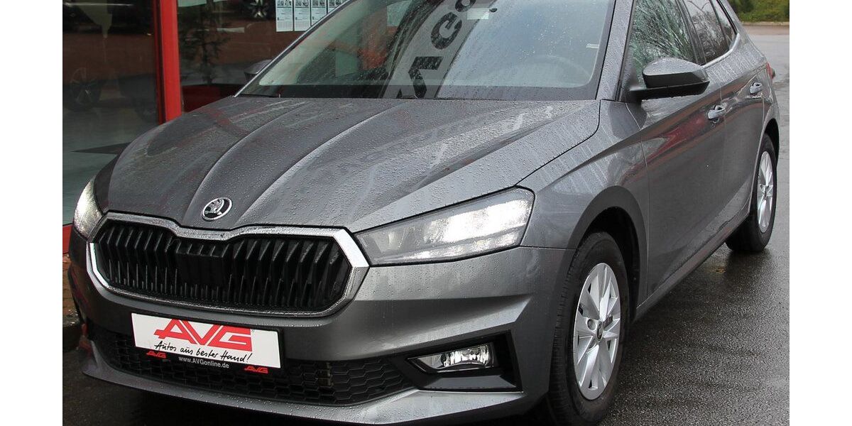 Skoda Fabia 20.417 km 19.950 &euro; Hüllhorst 32609