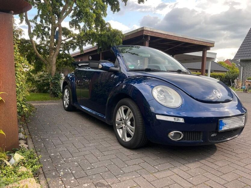Beetle