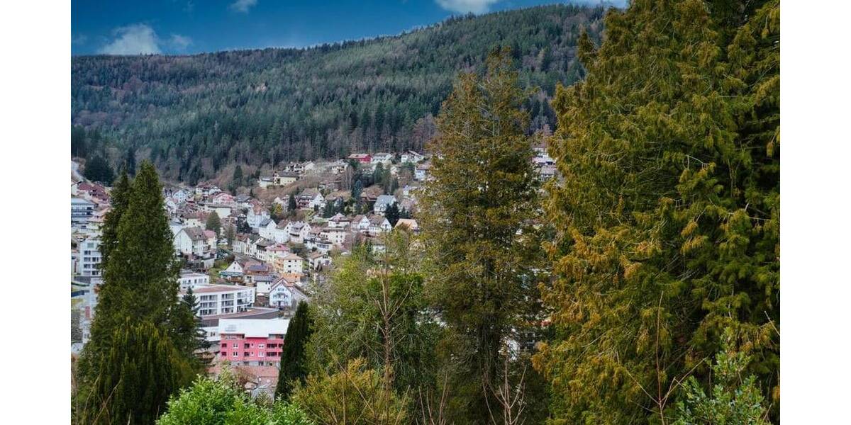 Grundstück Bad Wildbad im Schwarzwald Bad Wildbad - 99.000&euro; | Angebot:26096419