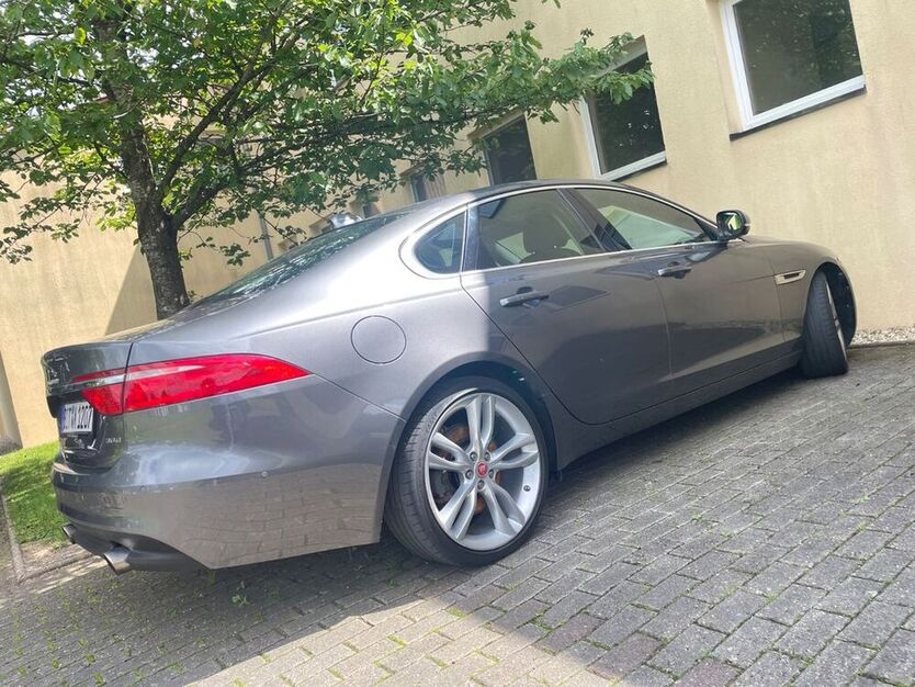 XF