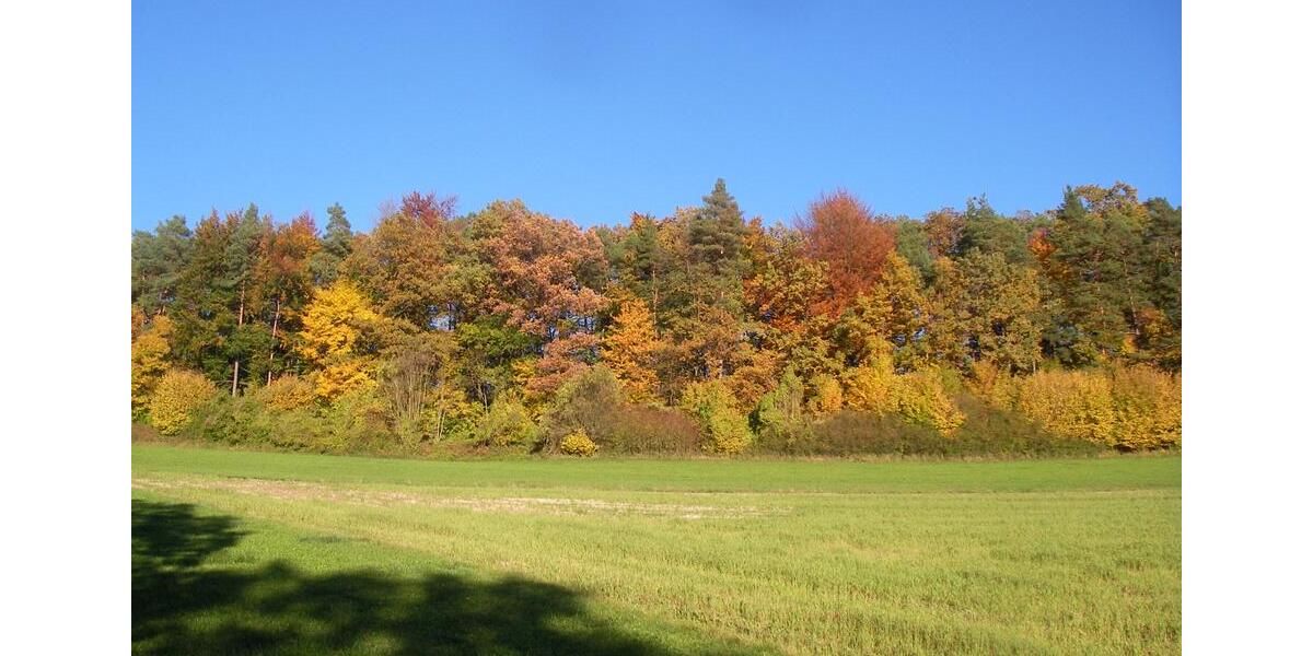 Ferienimmobilie Presseck Braunersreuth - 50&euro; | Angebot:13622116