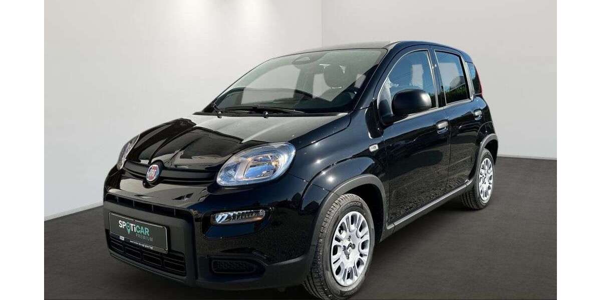 Fiat Panda 1.500 km 14.995 &euro; Eisenach 99817