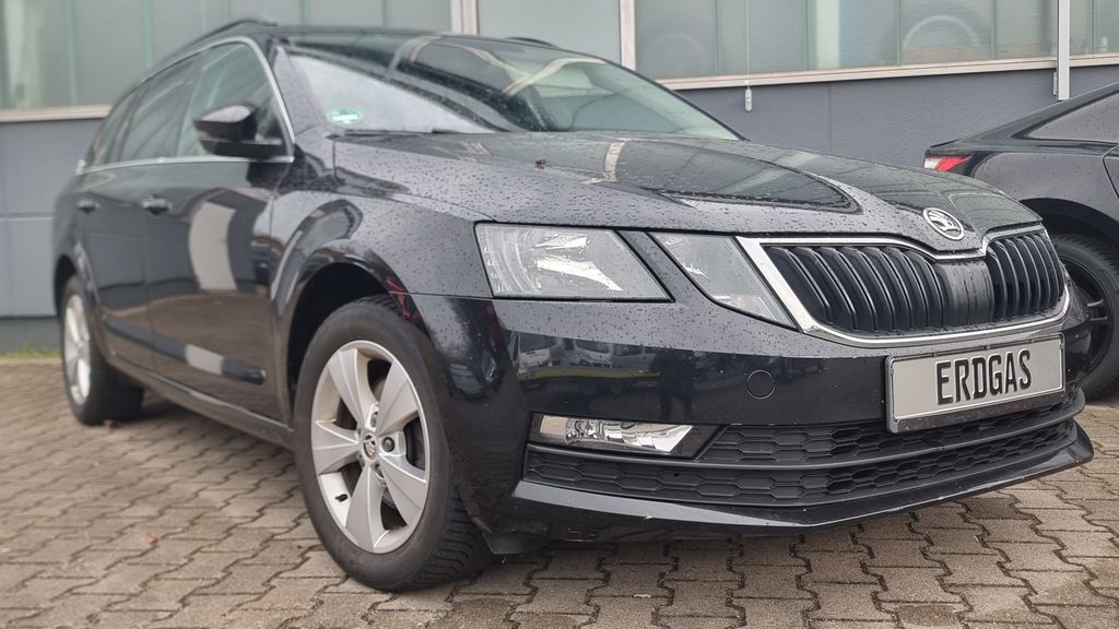 Skoda Octavia 142.500 km 10.898 &euro; Dessau-Roßlau 06847