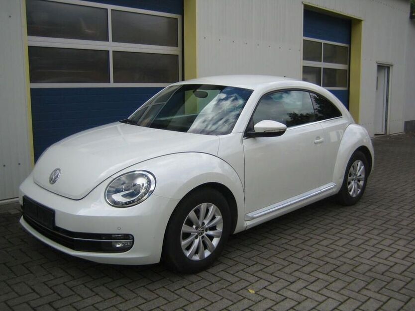Beetle