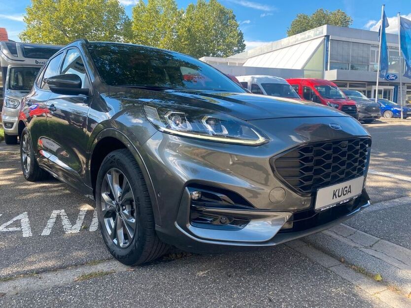 Kuga