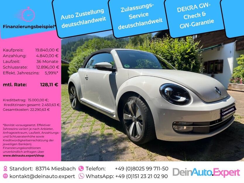 Beetle