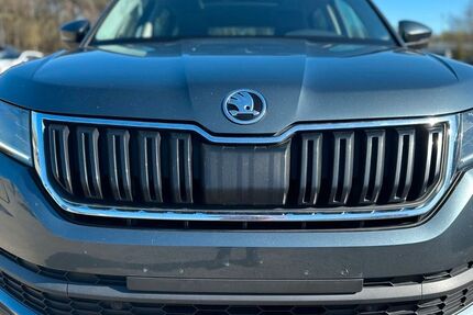 Skoda Kodiaq 227.000 km 16.699 &euro; Blankenfelde-Mahlow 15831