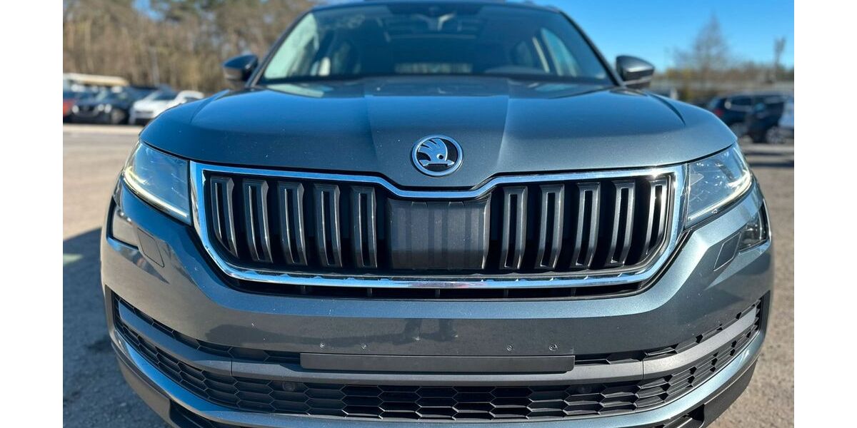 Skoda Kodiaq 227.000 km 16.699 &euro; Blankenfelde-Mahlow 15831