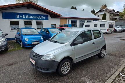 VW Fox